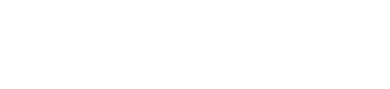 White text-only logo for dark backgrounds White text-only logo for dark backgrounds